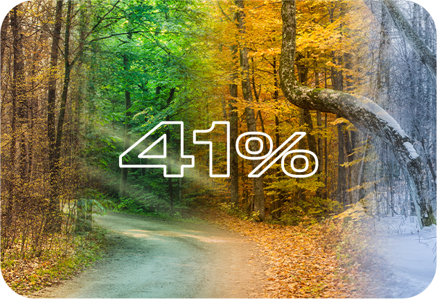 花粉・冬の感想など特定の季節　41％