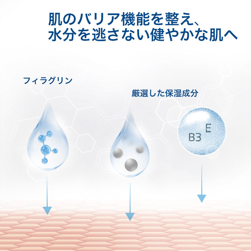 セタフィル PROジェントルウォッシュ