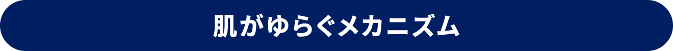 肌がゆらぐメカニズム